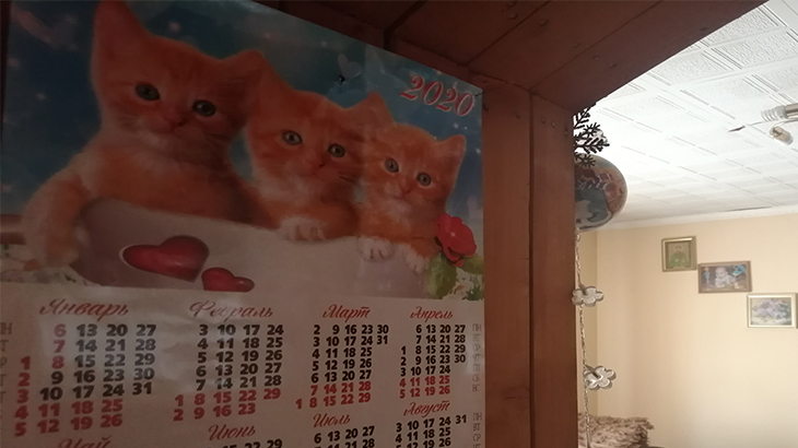 календарь на 2020 с тремя рыжими котами